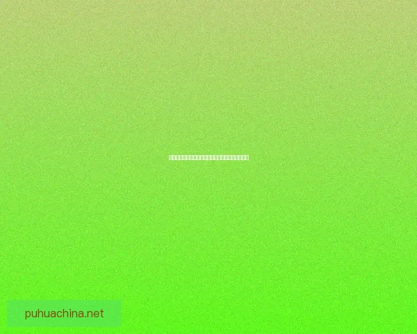 平民维尔克斯的崛起与抗争：一位普通人的英雄传奇